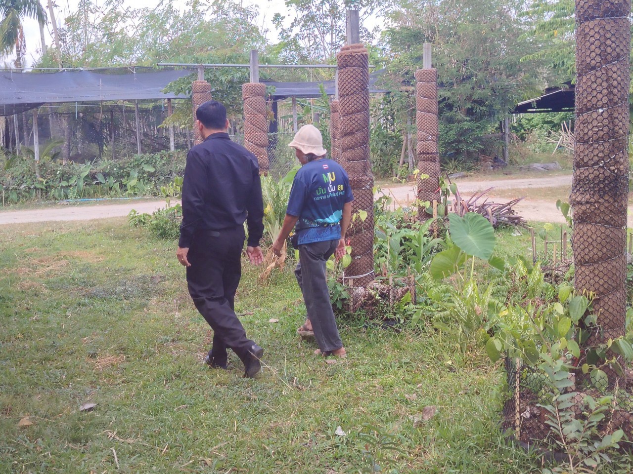 title - ส.ป.ก.ตรัง จัดฝึกอบรมเชิงปฏิบัติการเพื่อพัฒนาศักยภาพเกษตรกร  ภายใต้โครงการพัฒนาเกษตรกรรมยั่งยืน กิจกรรมพัฒนาเกษตรกรรมยั่งยืนในเขตปฏิรูปที่ดินจังหวัดตรัง ปีงบประมาณ พ.ศ. ๒๕๖๙